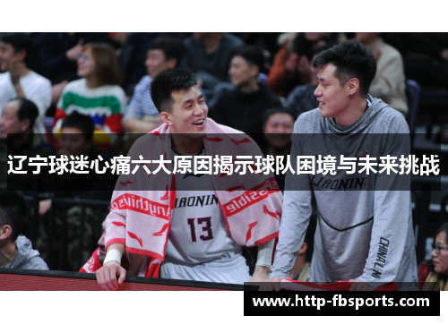 辽宁球迷心痛六大原因揭示球队困境与未来挑战